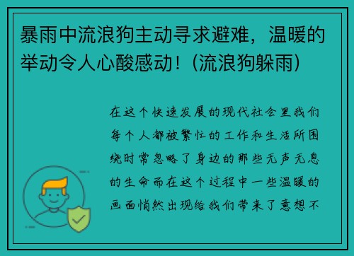 暴雨中流浪狗主动寻求避难，温暖的举动令人心酸感动！(流浪狗躲雨)