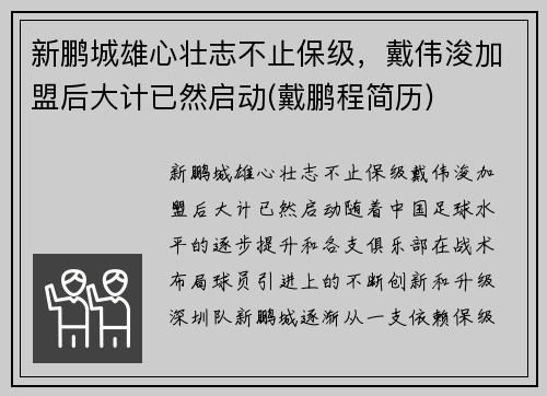新鹏城雄心壮志不止保级，戴伟浚加盟后大计已然启动(戴鹏程简历)
