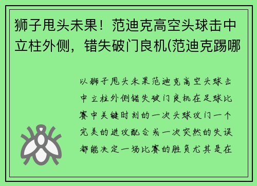 狮子甩头未果！范迪克高空头球击中立柱外侧，错失破门良机(范迪克踢哪边)